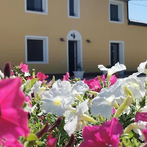 Riva Del Gallo Frühstückspension Tresigallo